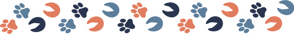 Abstract shapes in various shades of blue and orange are scattered across a transparent background.